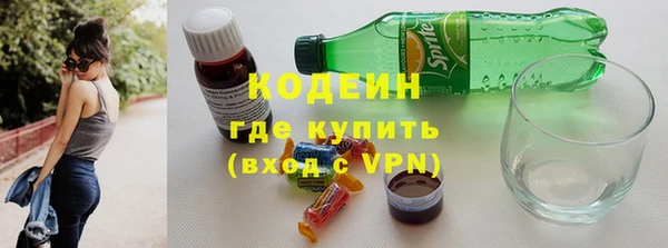 дмт Осташков