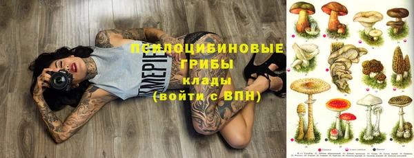 сатива Верхнеуральск