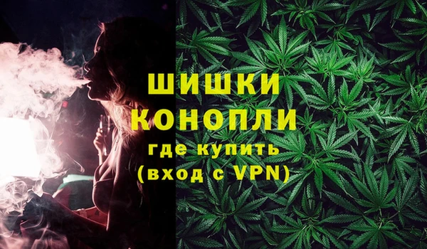 дмт Осташков
