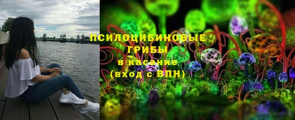 дмт Осташков