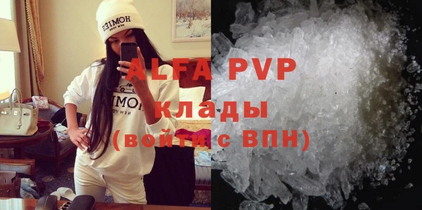сатива Верея