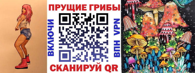 наркошоп  сайты даркнета официальный сайт  Галлюциногенные грибы MAGIC MUSHROOMS  Новомосковск 