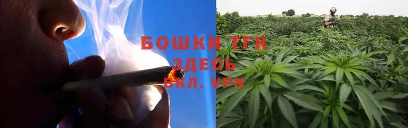 Бошки Шишки SATIVA & INDICA  купить   omg ссылки  Новомосковск 